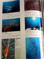 b0044726_74531100.jpg