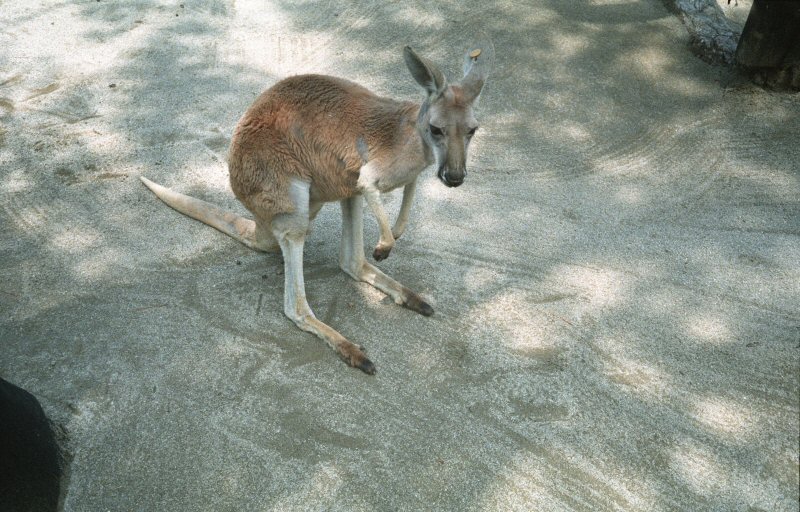 d0032931_2032487.jpg