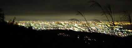 d0027036_3211223.jpg