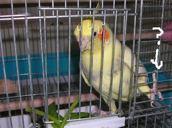 d0039036_0401073.jpg