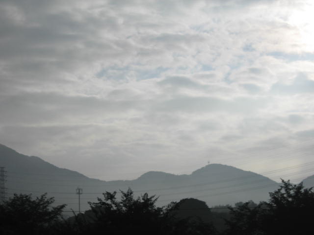 b0088037_6552090.jpg