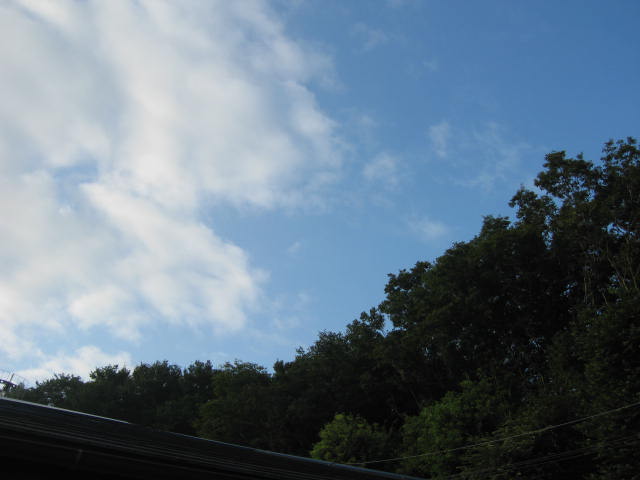 b0088037_655758.jpg