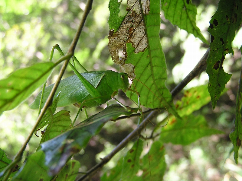 b0099538_045657.jpg