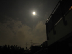 a0068339_1545019.jpg