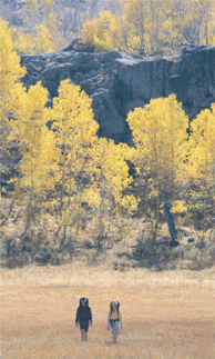 e0013640_16274678.gif