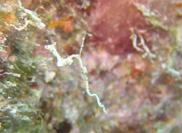 d0065247_23421441.jpg