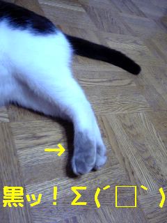 a0061849_22574331.jpg