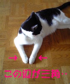 a0061849_23161341.jpg