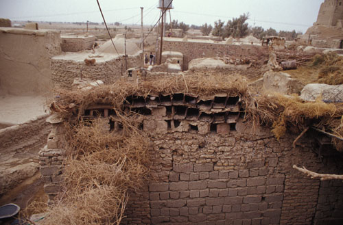 b0006449_2136147.jpg