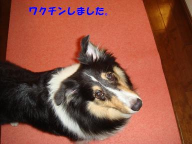 f0046854_1615242.jpg