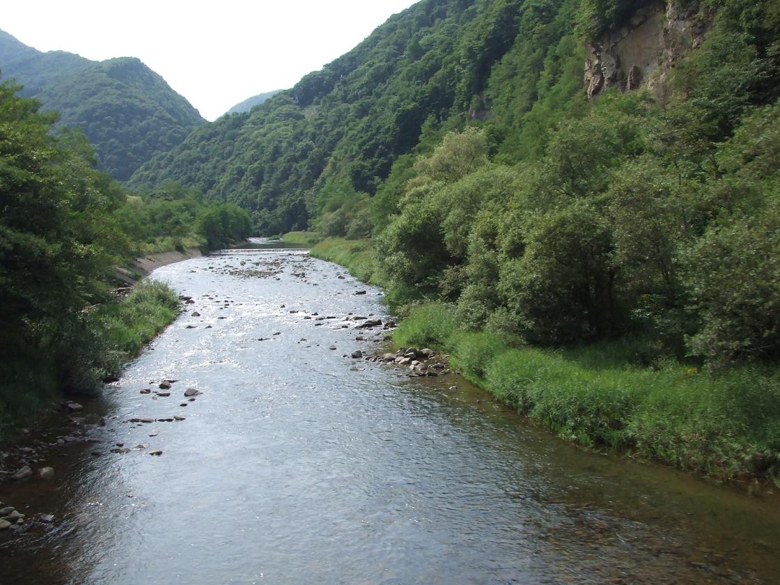 c0077258_2257864.jpg