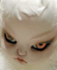 f0034559_8383533.jpg