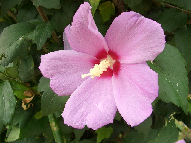 b0095760_813213.jpg