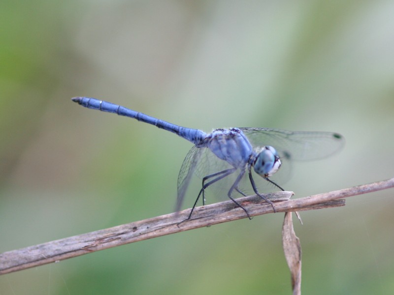 b0088772_1682799.jpg