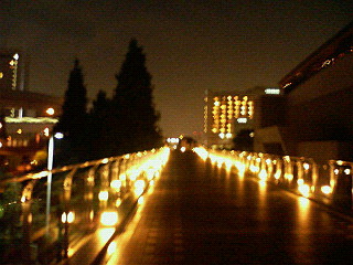 f0089079_14274136.jpg