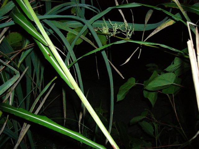 b0025884_3403068.jpg