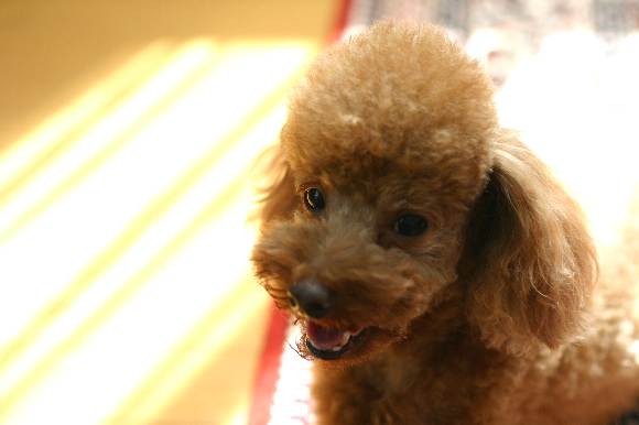 f0001895_1818201.jpg