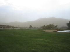 b0043897_931887.jpg