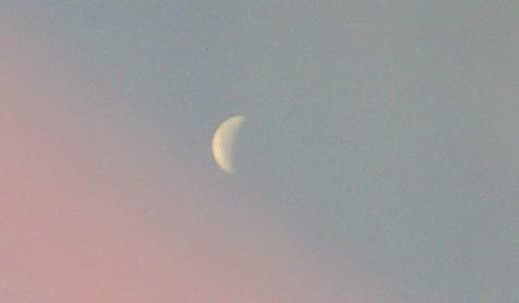 e0077899_854246.jpg