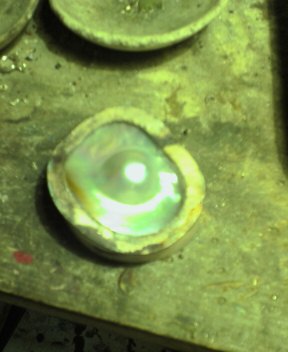 b0049302_7442934.jpg