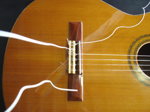e0014905_0394571.jpg