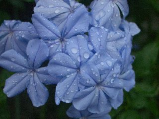 b0061107_23355534.jpg