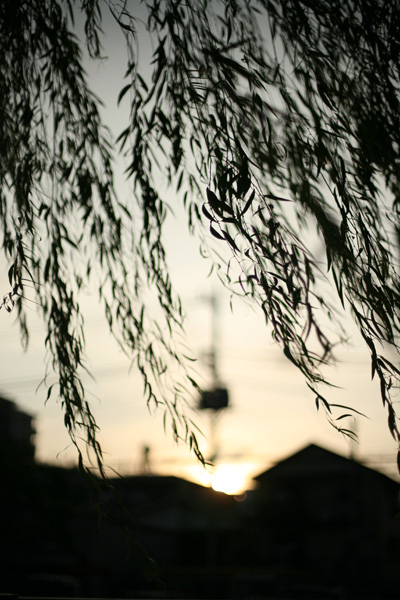 a0008508_1331270.jpg
