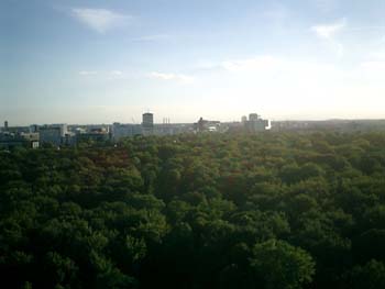 e0038811_2115381.jpg