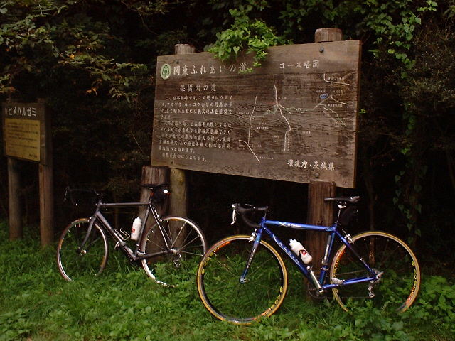 a0077616_1828585.jpg