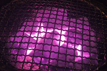 f0056516_3401359.jpg
