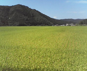 d0068023_21584957.jpg