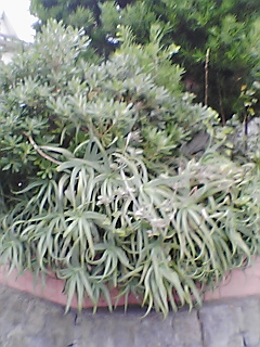 b0072729_1423382.jpg