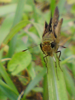 b0072729_1424558.jpg