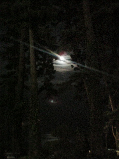 b0072729_1431969.jpg