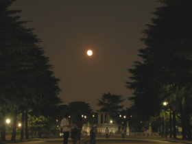 d0040729_239123.jpg