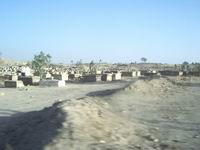 e0058439_23541217.jpg
