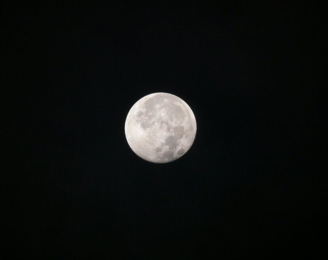 e0055642_22445637.jpg