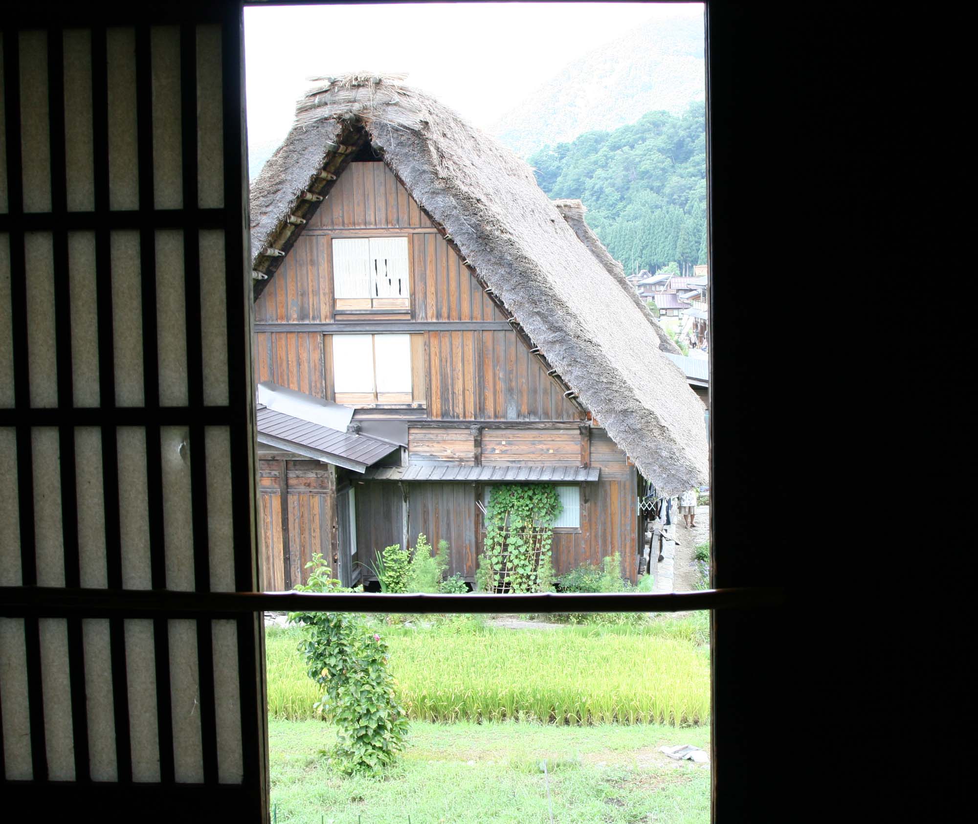 a0076043_22678.jpg