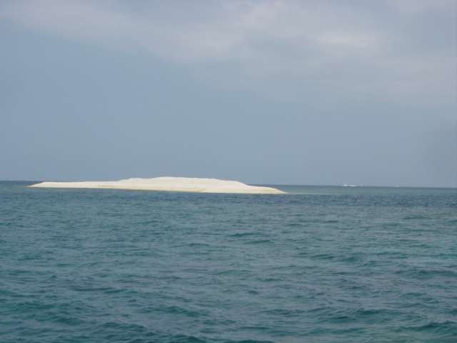 d0050946_23565049.jpg