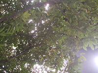 f0023446_337365.jpg