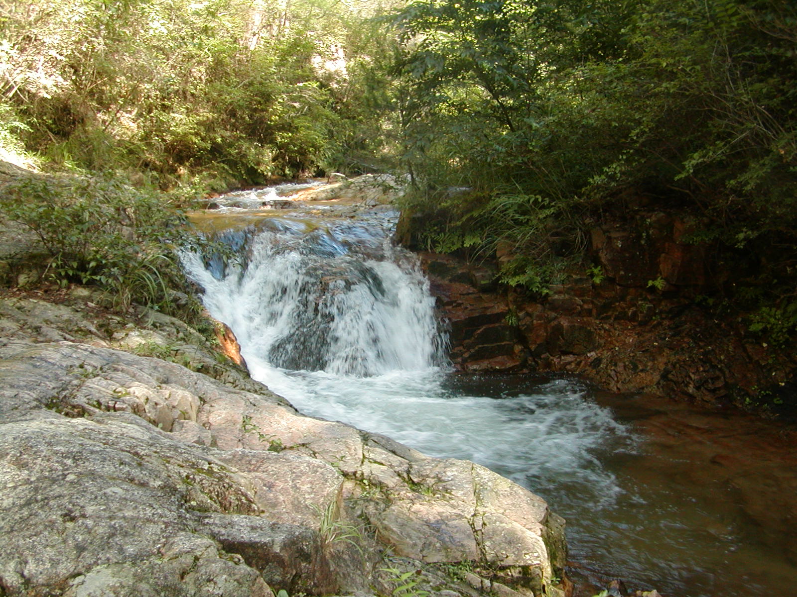 f0039446_16231897.jpg