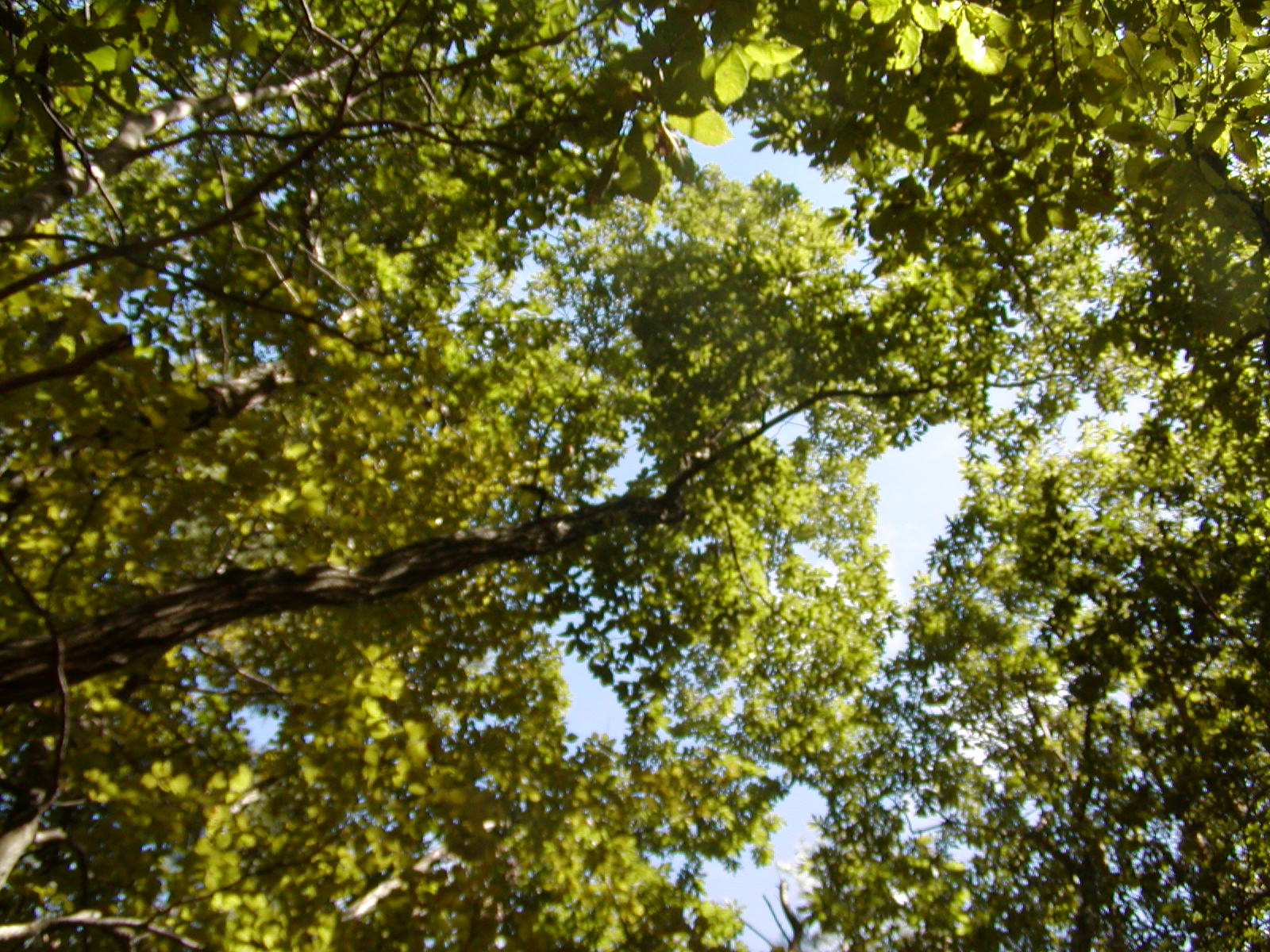 f0039446_16263921.jpg