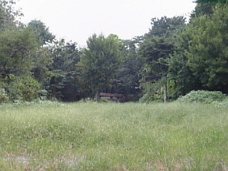 e0083359_21351645.jpg