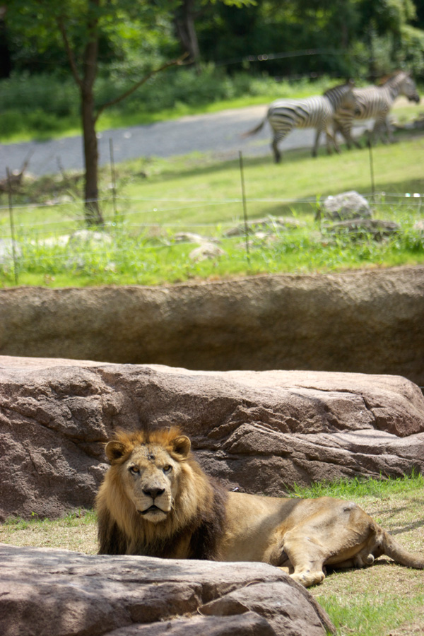 e0060169_1546838.jpg
