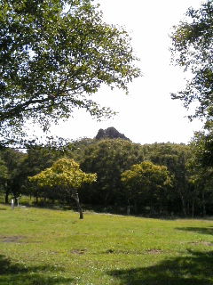 a0038370_23553100.jpg