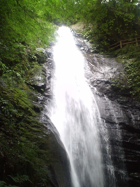 b0095673_2039569.jpg