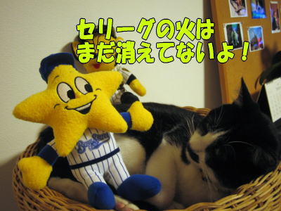 b0041182_0181466.jpg
