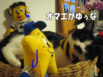 b0041182_0182017.jpg