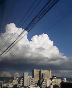 e0051194_20163423.jpg