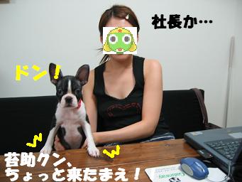 c0092097_2050486.jpg